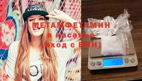 гидра Гатчина